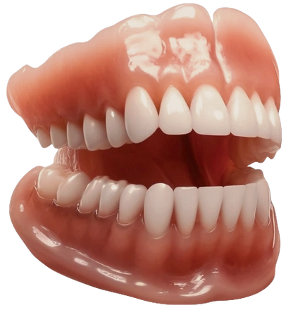 Ｎatravor™ - Premium Denture